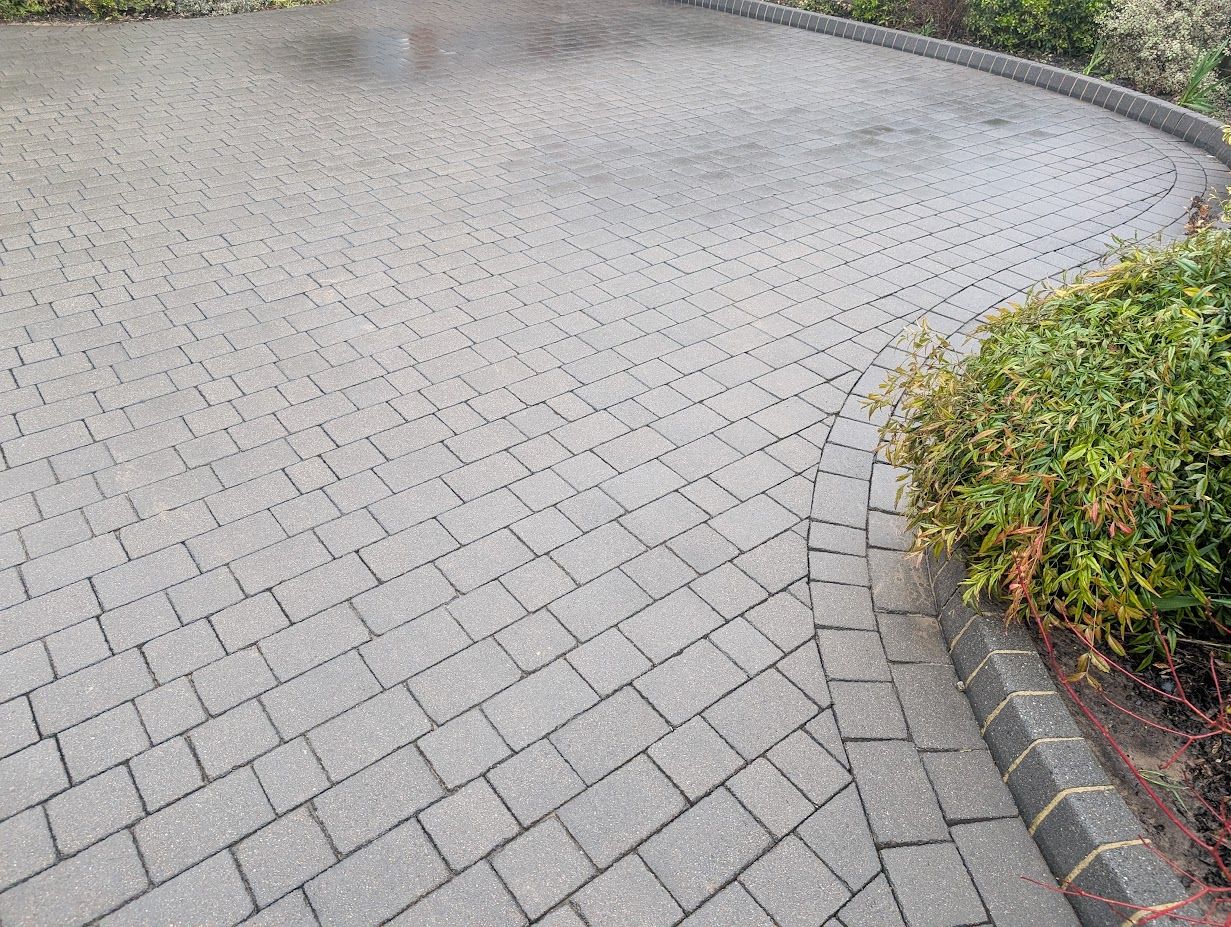 A weedy, dull driveway