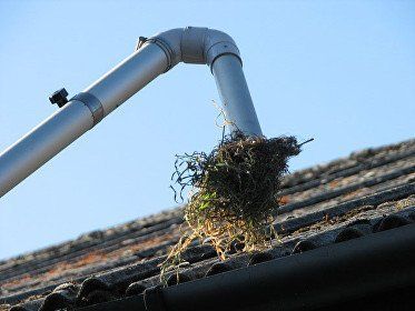 Commercial Gutter Clearance in Epping