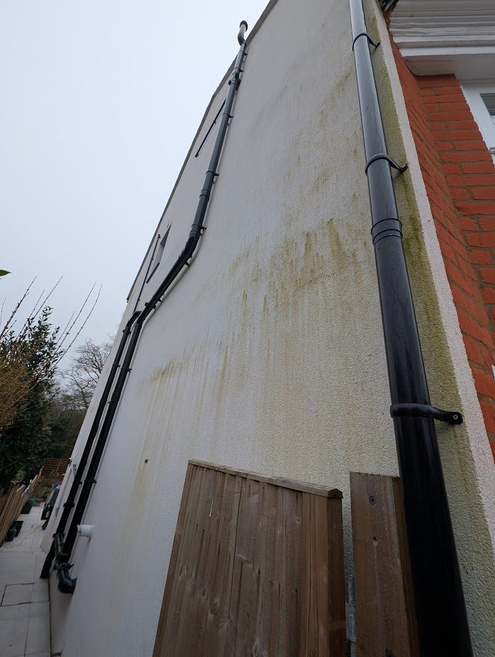 Render elevation clean before cleaning