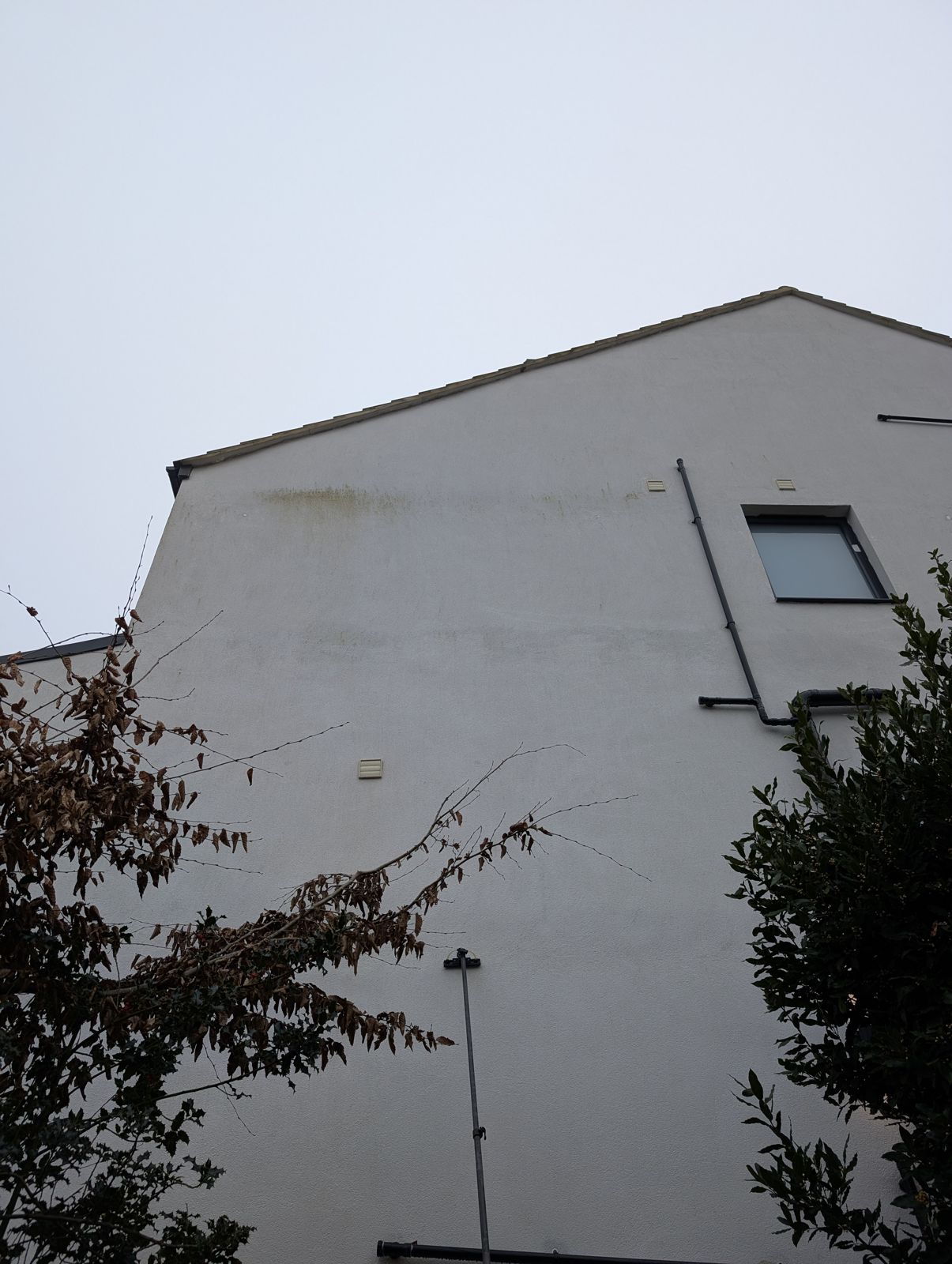 Render wall before cleaning